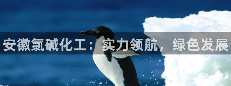 球盟会娱乐平台
