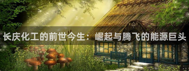 球盟会qm8597