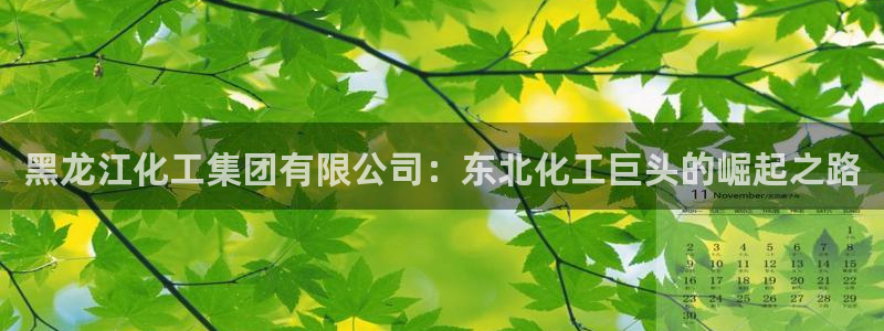 球盟会黑钱
