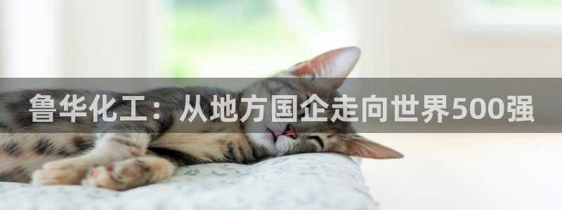 球盟会体育平台
