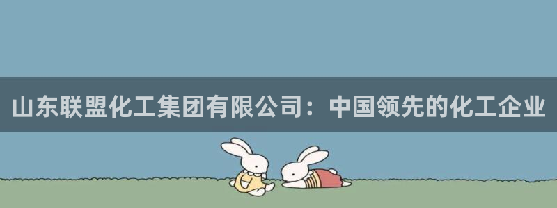 球盟会体育平台：山东联盟化工集团有限公司：中国领先的化工企业