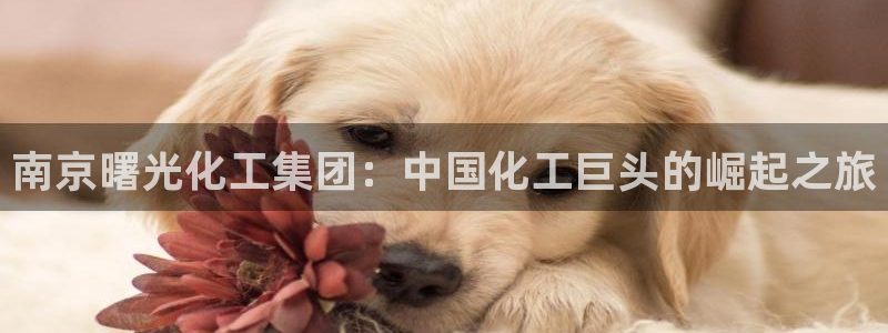 球盟会黑台子吗