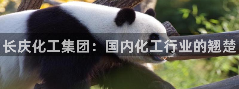 球盟会在线官网