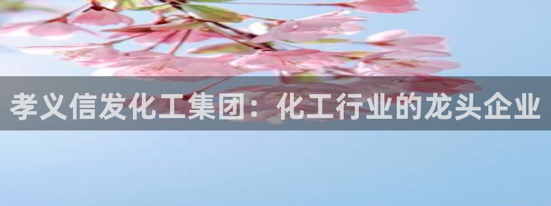 球盟会官网网页版