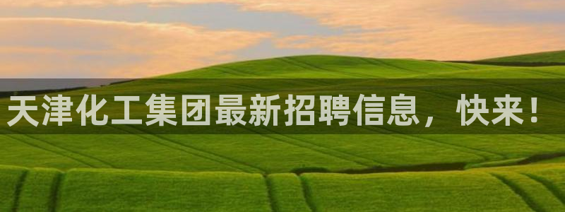 球盟会进不去
