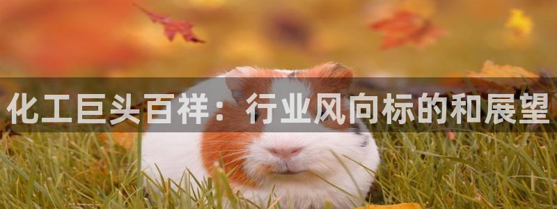 球盟会在线网站