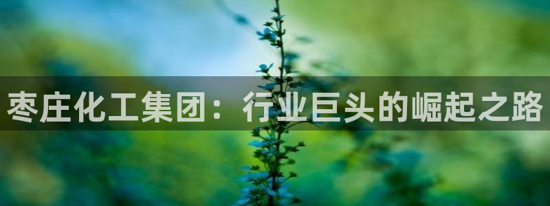 球盟会优惠领取网站是真的吗
