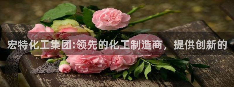 球盟会国际官网：宏特化工集团:领先的化工制造商，提供创新的