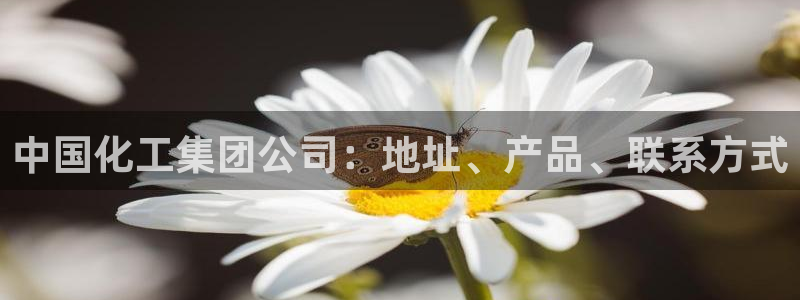 球盟会体育平台：中国化工集团公司：地址、产品、联系方式