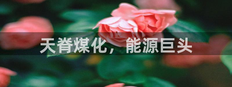 球盟会优惠领取网站是真的吗：天脊煤化，能源巨头