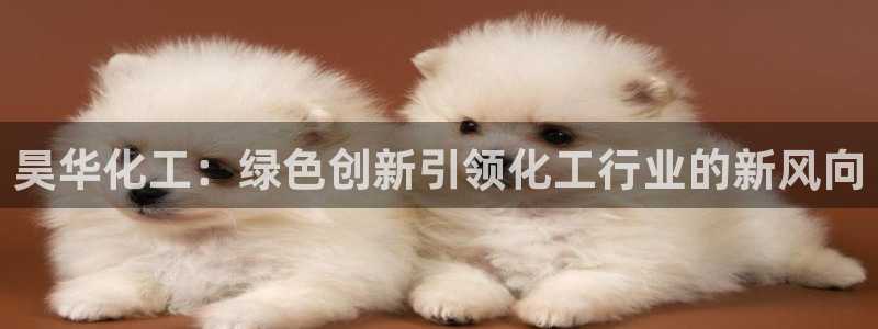 球盟会邮箱