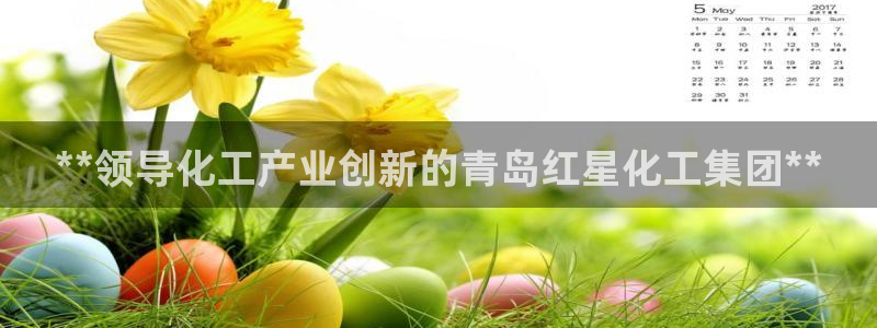 球盟会最新活动