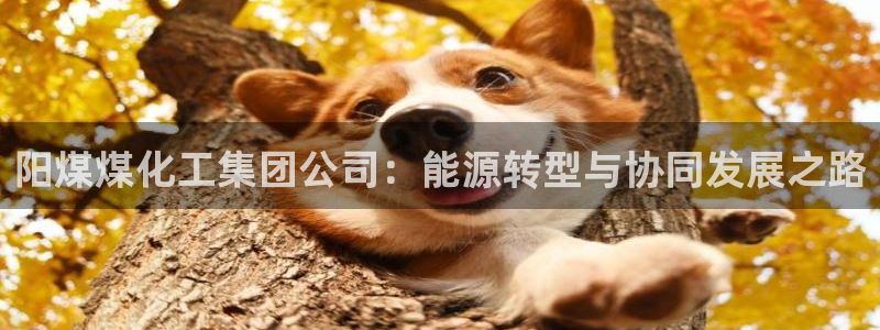 球盟会app最新地址在哪
