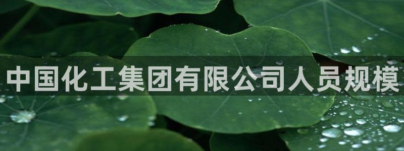 球盟会(中国)官方网站