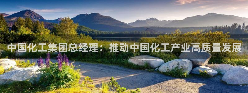 球盟会qmh登录地址：中国化工集团总经理：推动中国化工产业高