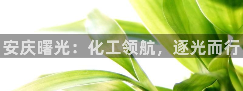 球盟会网页登录：安庆曙光：化工领航，逐光而行