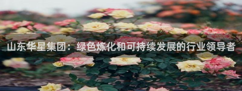 球盟会qmh官网：山东华星集团：绿色炼化和可持续发展的行业领
