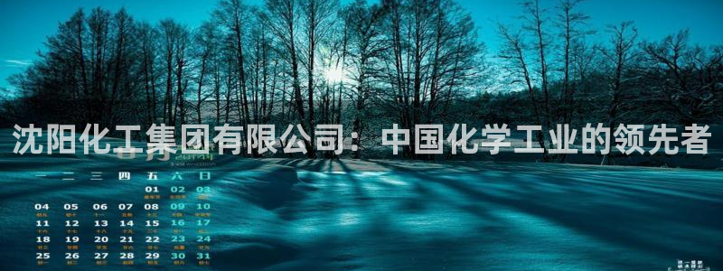 球盟会黑款吗是真的吗：沈阳化工集团有限公司：中国化学工业的领