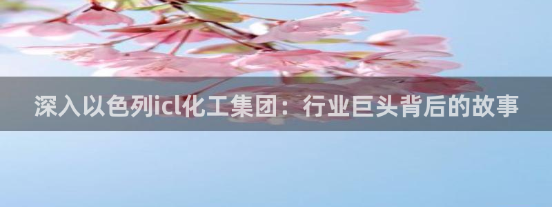 球盟会官方网址入口