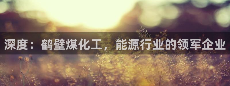 球盟会网页登录app下载地址