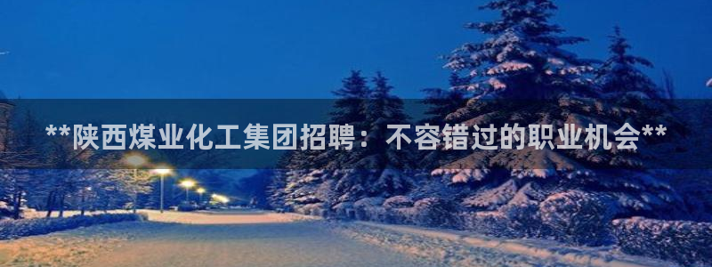 球盟会头号玩家是谁