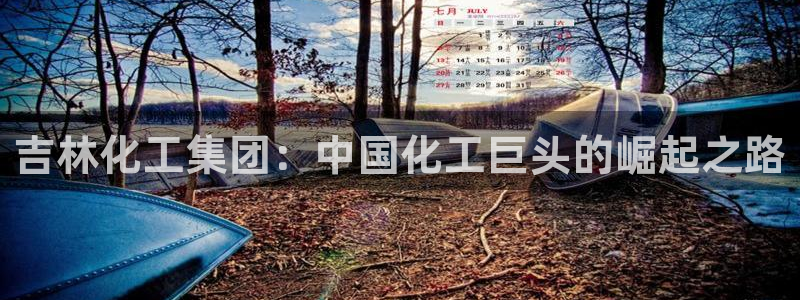 球盟会进不去球员吗