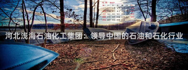 球盟会app安装