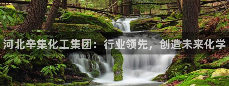 球盟会官方
