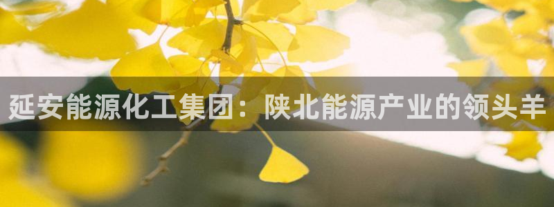 球盟会在线登录