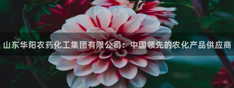 球盟会邮箱
