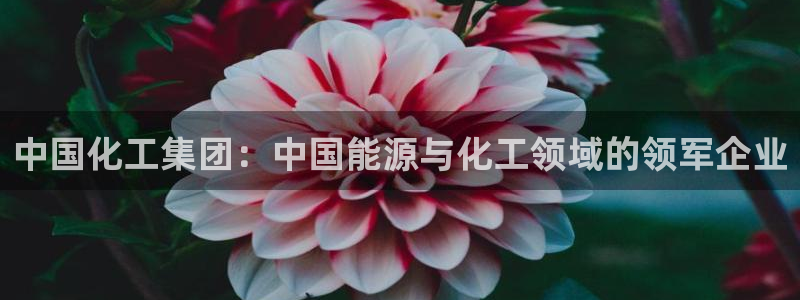 球盟会体育平台