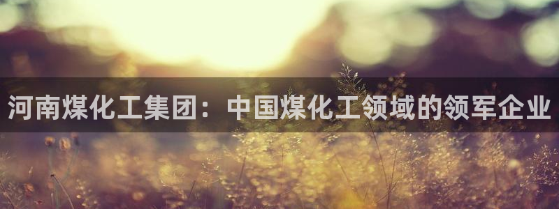 球盟会登录网址