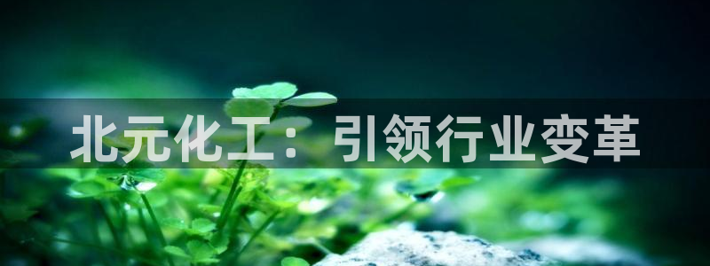 球盟会吧