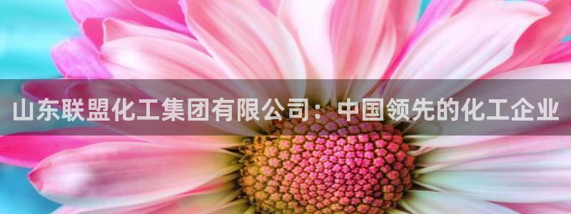 球盟会体验金球奖吗
