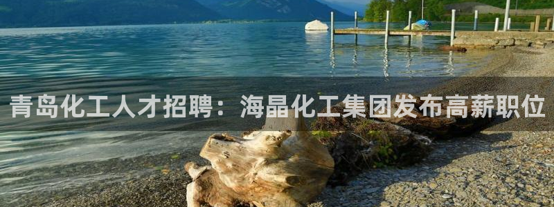 球盟会app最新地址在哪找
