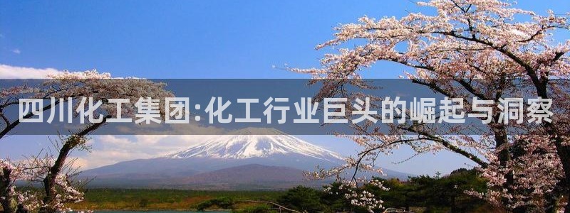 球盟会登录入口