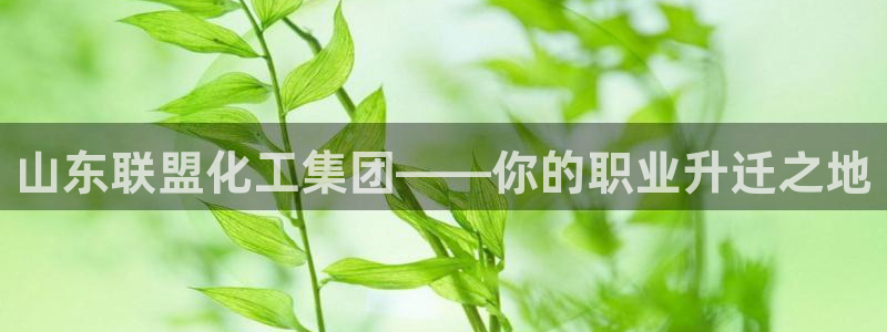 球盟会头号玩家是谁