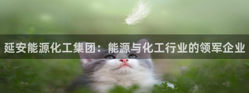 球盟会官方最新入口