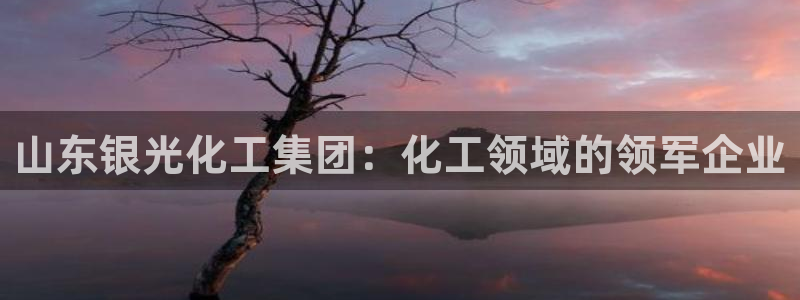 球盟会登陆中心