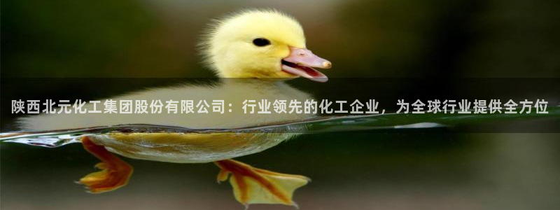 球盟会最新地址备用