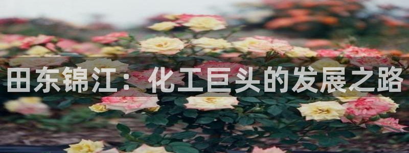 球盟会可以提现么现在