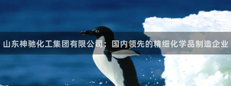 球盟会里面有打牌的嘛是真的吗