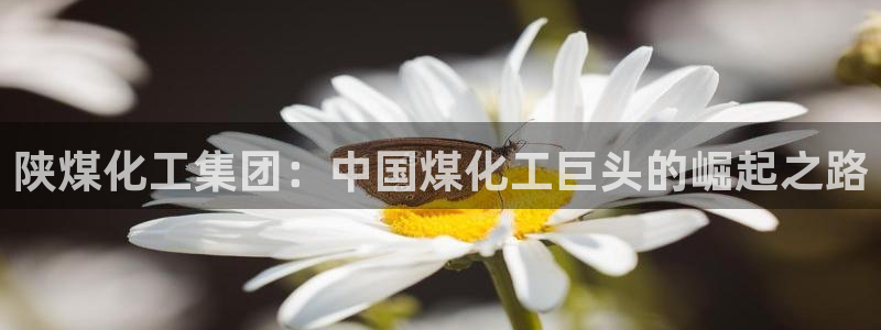 球盟会电子好黑