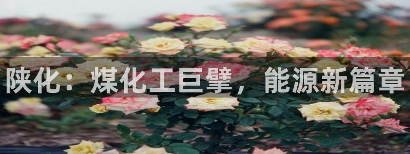 球盟会登录平台入口
