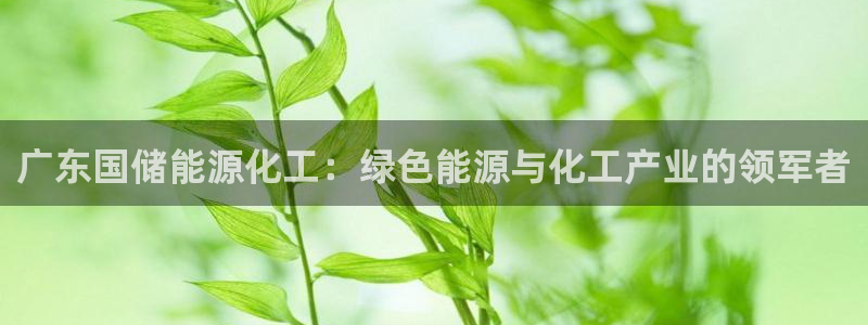 球盟会