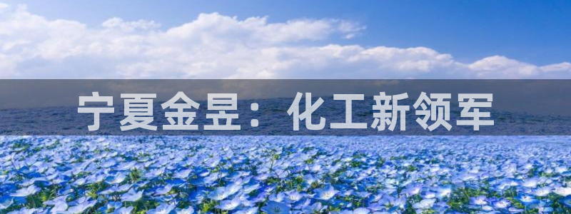 球盟会论坛