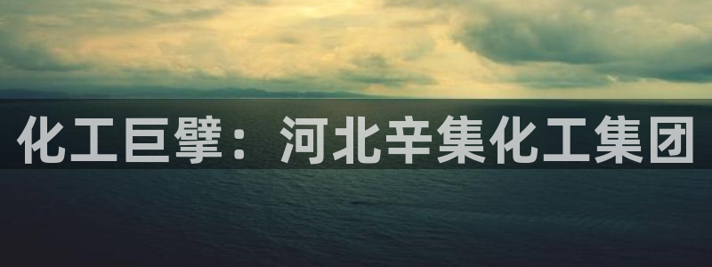 球盟会黑款吗知乎文章