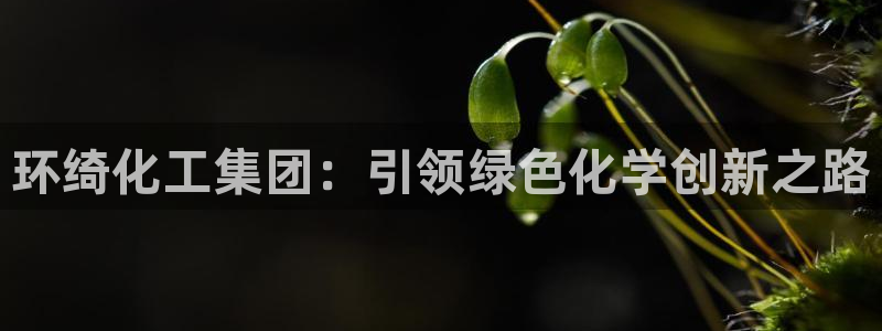 球盟会官方网入口