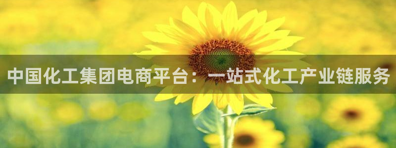 球盟会提款支付宝怎么样