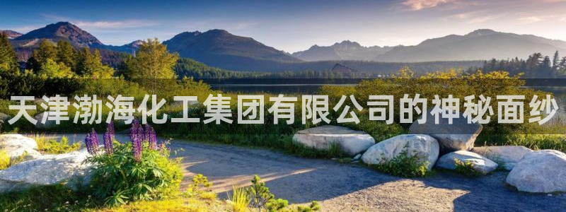 球盟会登陆